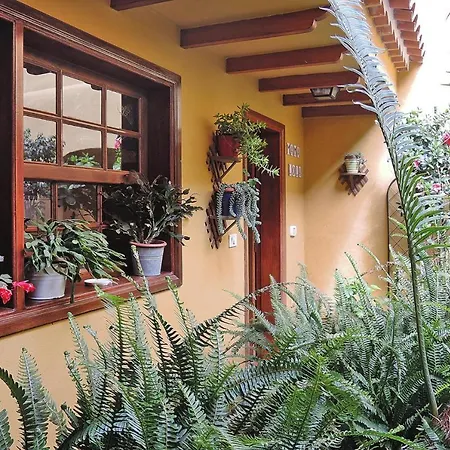 Ferienhaus Holiday Arico Nuevo - Tfs02005-f
